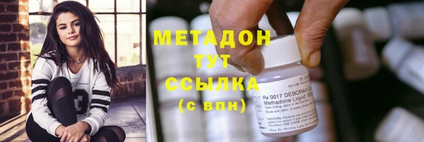 хмурый Аркадак