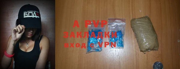 хмурый Аркадак