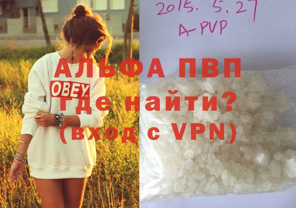 хмурый Аркадак