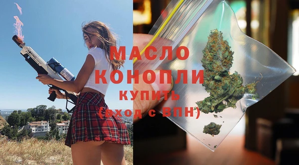 хмурый Аркадак