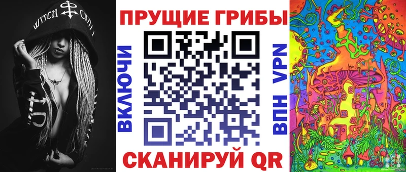 Псилоцибиновые грибы Psilocybine cubensis  наркошоп  Петропавловск-Камчатский 